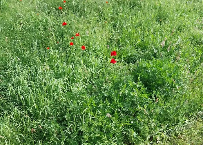 Relax By At Warmian-masurian Boguszewo